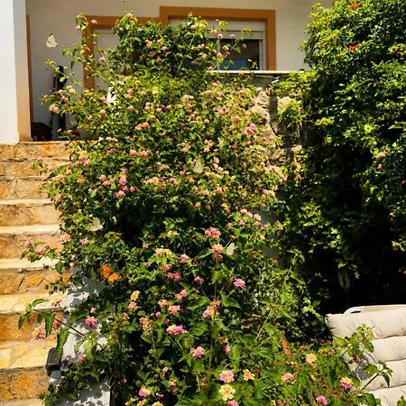 公寓 Rafaella's Maisonette At Rafaella